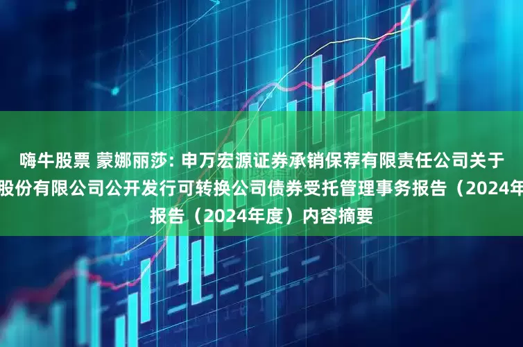 嗨牛股票 蒙娜丽莎: 申万宏源证券承销保荐有限责任公司关于蒙娜丽莎集团股份有限公司公开发行可转换公司债券受托管理事务报告（2024年度）内容摘要