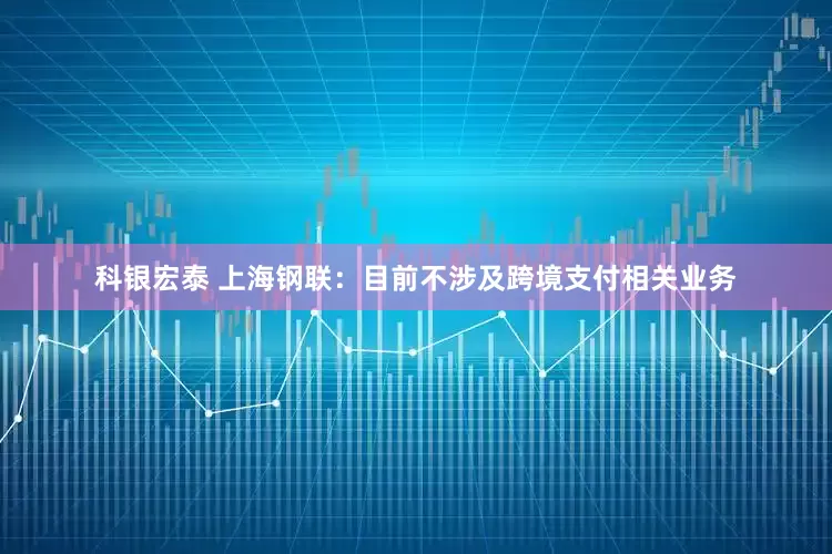 科银宏泰 上海钢联：目前不涉及跨境支付相关业务
