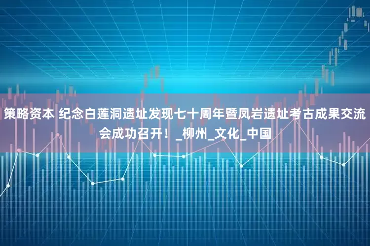 策略资本 纪念白莲洞遗址发现七十周年暨凤岩遗址考古成果交流会成功召开！_柳州_文化_中国