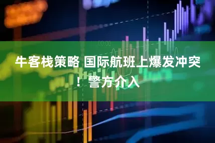 牛客栈策略 国际航班上爆发冲突！警方介入