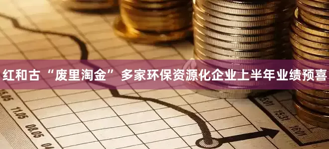 红和古 “废里淘金” 多家环保资源化企业上半年业绩预喜